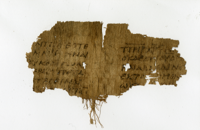 P.Oxy. 2067: fragment of a fifth-century papyrus codex containing the Nicene Creed. Courtesy of the Egypt Exploration Society. Photographer: Daniela Colomo