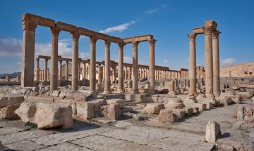 palmyra