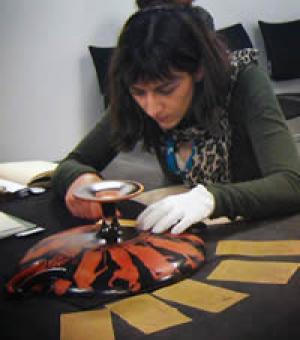 Dr Diana Rodríguez Pérez